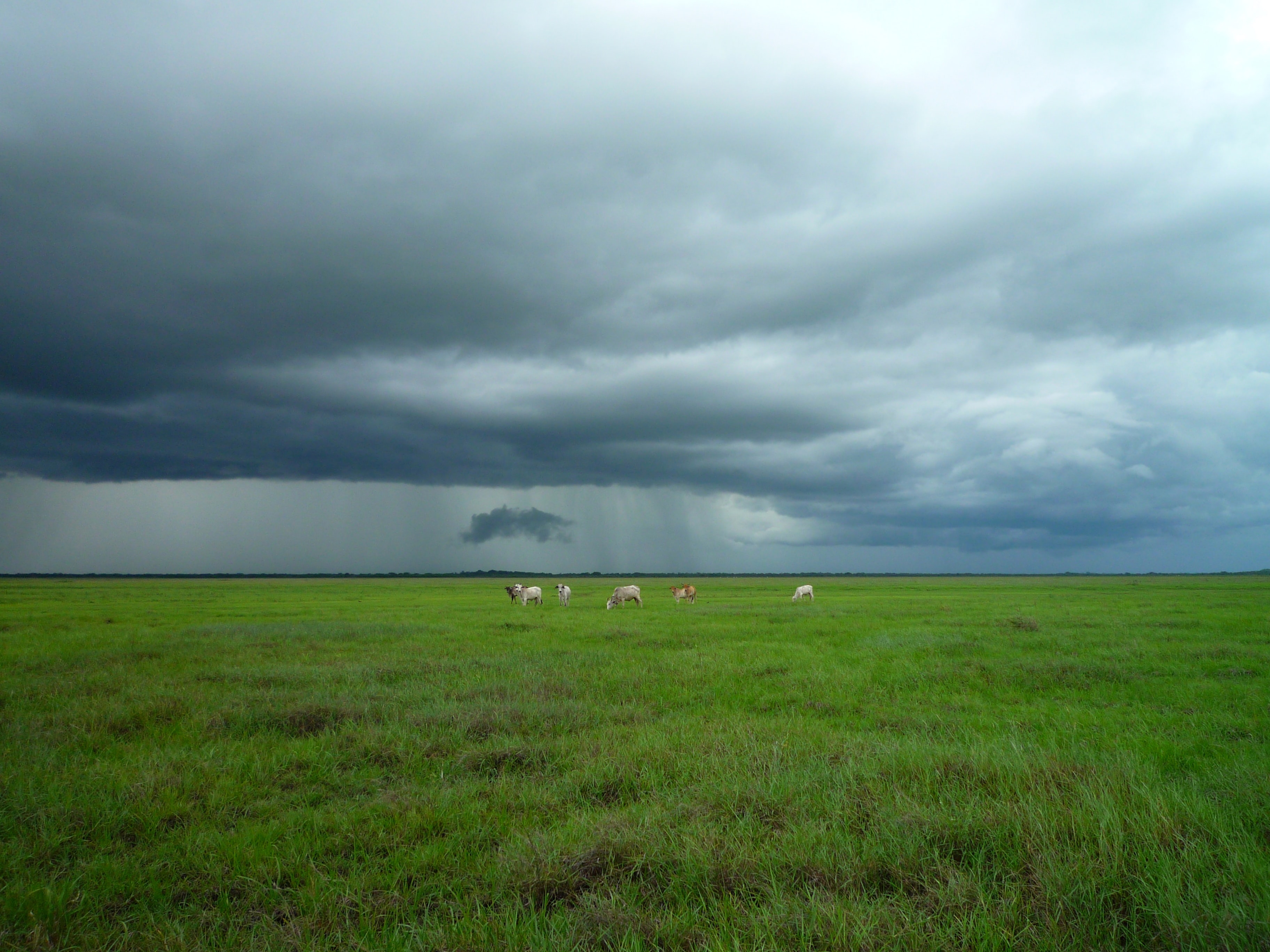 Photo of rain clouds
